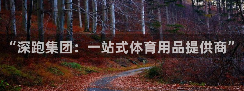 征途国际平台注册要钱吗：“深跑集团：一站式体育用品提供商”
