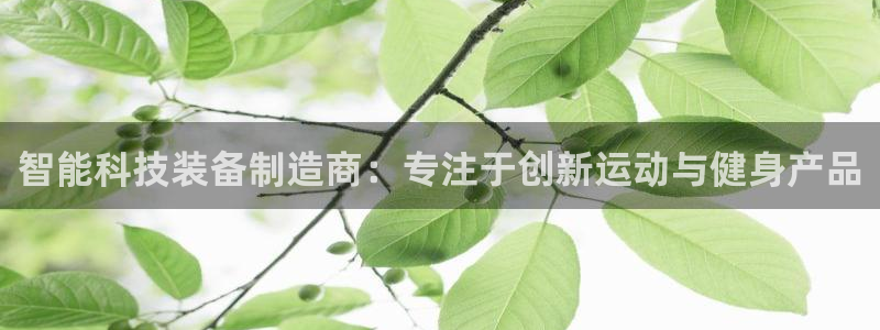 征途国际娱乐下载：智能科技装备制造商：专注于创新运动与健身产