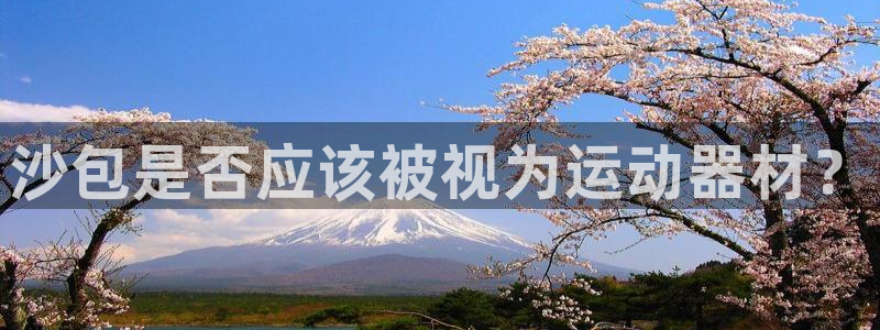 征途国际平台是正规平台吗：沙包是否应该被视为运动器材