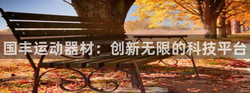 征途国际平台注册要钱吗：国丰运动器材：创新无限的科技平台