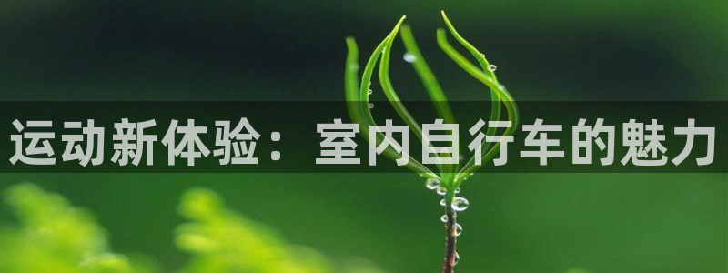 征途国际招商：运动新体验：室内自行车的魅力