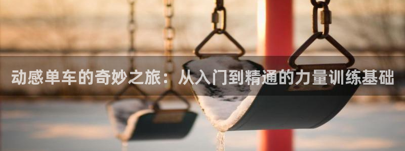 征途国际招商电话地址是多少：动感单车的奇妙之旅：从入门到精通