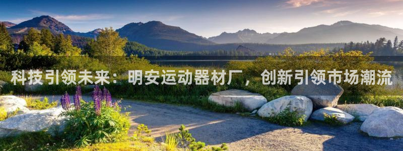 征途国际注册：科技引领未来：明安运动器材厂，创新引领市场潮流
