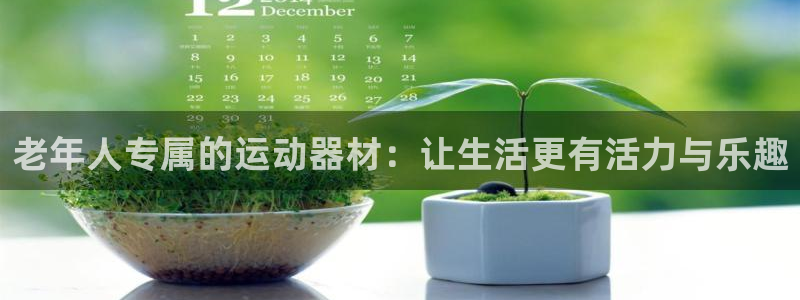 征途国际神州:老年人专属的运动器材:让生活更有活力与乐趣
