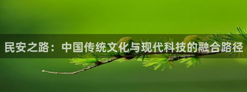 征途国际平台APP