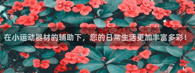 征途国际是干嘛的公司