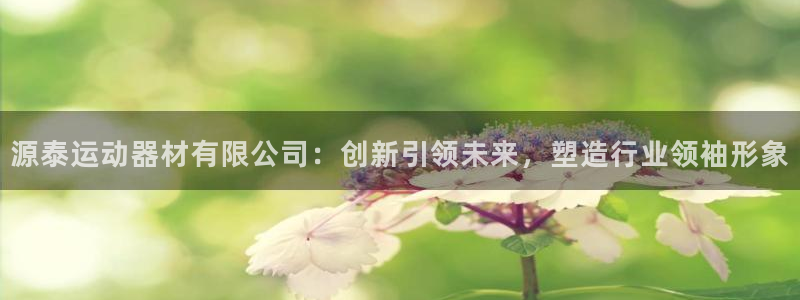 征途国际:源泰运动器材有限公司:创新引领未来,塑造行业领袖形