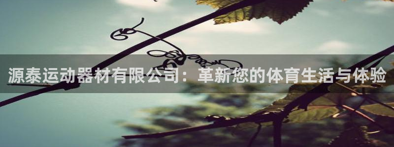 征途国际是干嘛的公司:源泰运动器材有限公司:革新您的体育生活