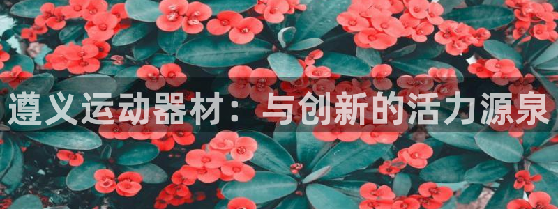 征途国际平台是正规平台吗:遵义运动器材:与创新的活力源泉
