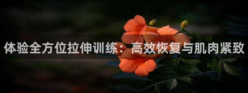 征途国际集团：体验全方位拉伸训练：高效恢复与肌肉紧致