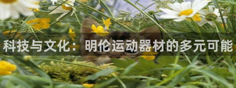 征途国际招商电话号码：科技与文化：明伦运动器材的多元可能